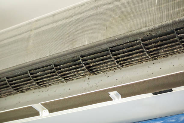 Best Air Duct Cleaning Near Me  in Rosendale, WI